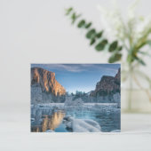 Eis und Schnee | Rime Ice im Yosemite-Tal Postkarte (Stehend Vorderseite)