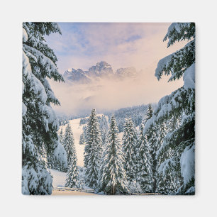 Eis und Schnee   Rosengarten, Deutschland Magnet
