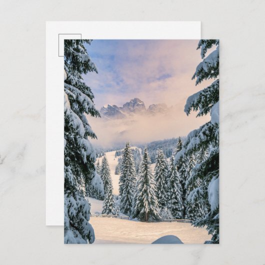 Eis und Schnee | Rosengarten, Deutschland Postkarte (Vorne/Hinten)