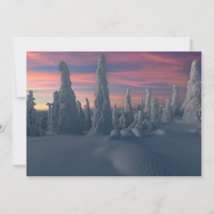 Eis und Schnee Schneebedeckte Bäume, Lappland, F Dankeskarte