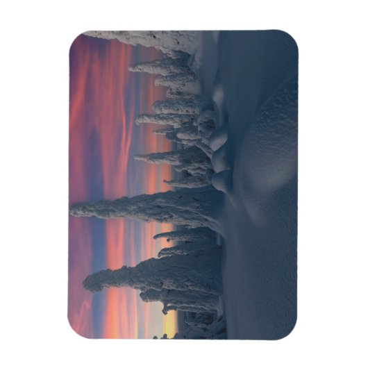 Eis und Schnee | Schneebedeckte Bäume, Lappland, F Magnet (Vertikal)