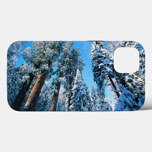 Eis und Schnee | Sequoia National Park, Kalifornie Case-Mate iPhone Hülle (Rückseite (Horizontal))
