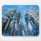 Eis und Schnee | Sequoia National Park, Kalifornie Mousepad (Vorne)