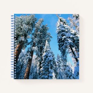 Eis und Schnee Sequoia National Park, Kalifornie Notizblock