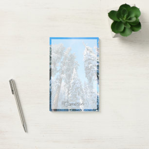 Eis und Schnee Sequoia National Park, Kalifornie Post-it Klebezettel