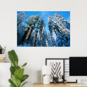 Eis und Schnee | Sequoia National Park, Kalifornie Poster (Heimbüro)
