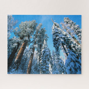 Eis und Schnee   Sequoia National Park, Kalifornie Puzzle