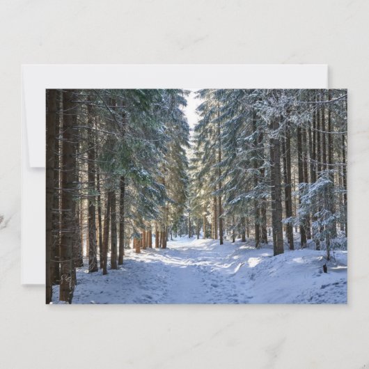 Eis und Schnee | Tatra Mountains, Polen Dankeskarte (Vorderseite)