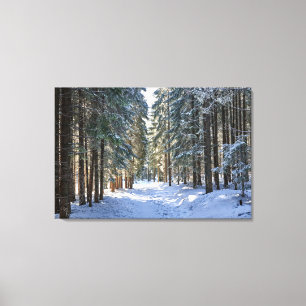Eis und Schnee Tatra Mountains, Polen Leinwanddruck