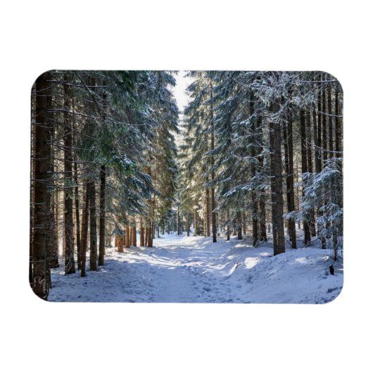 Eis und Schnee | Tatra Mountains, Polen Magnet (Horizontal)
