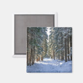 Eis und Schnee | Tatra Mountains, Polen Magnet (Vorderseite/Rückseite)
