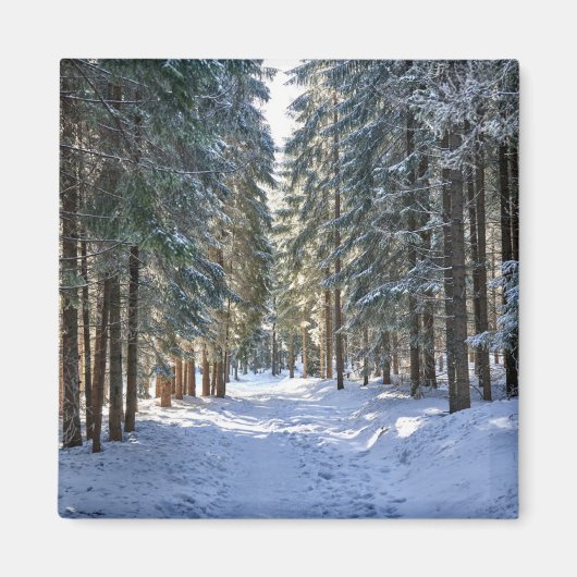 Eis und Schnee | Tatra Mountains, Polen Magnet (Vorne)