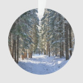 Eis und Schnee | Tatra Mountains, Polen Ornament (Vorderseite)