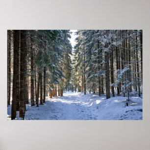 Eis und Schnee   Tatra Mountains, Polen Poster