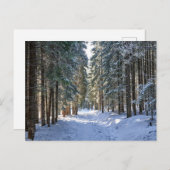 Eis und Schnee | Tatra Mountains, Polen Postkarte (Vorne/Hinten)