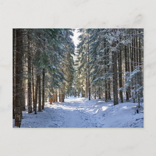 Eis und Schnee | Tatra Mountains, Polen Postkarte (Vorderseite)