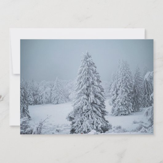 Eis und Schnee | Wald, Schweizer Alpen Dankeskarte (Vorderseite)