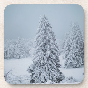 Eis und Schnee   Wald, Schweizer Alpen Getränkeuntersetzer
