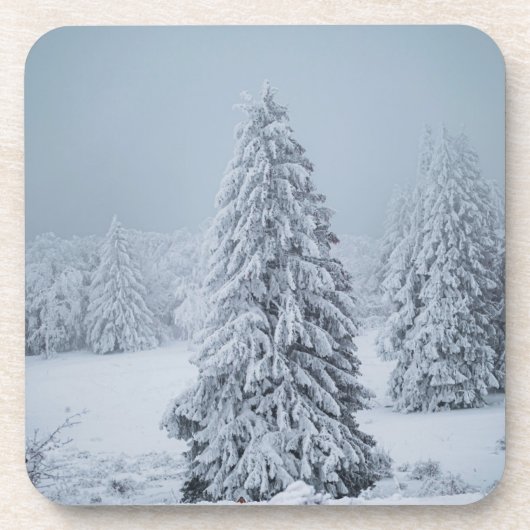 Eis und Schnee | Wald, Schweizer Alpen Getränkeuntersetzer (Vorderseite)