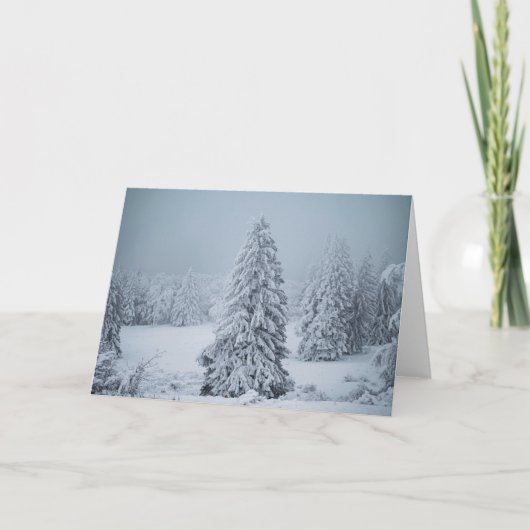 Eis und Schnee | Wald, Schweizer Alpen Karte (Vorderseite)