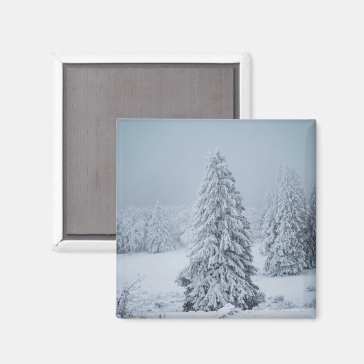 Eis und Schnee | Wald, Schweizer Alpen Magnet (Vorderseite/Rückseite)