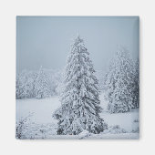 Eis und Schnee | Wald, Schweizer Alpen Magnet (Vorne)