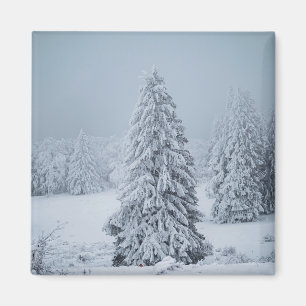Eis und Schnee   Wald, Schweizer Alpen Magnet