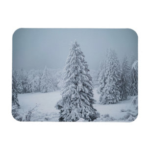 Eis und Schnee Wald, Schweizer Alpen Magnet