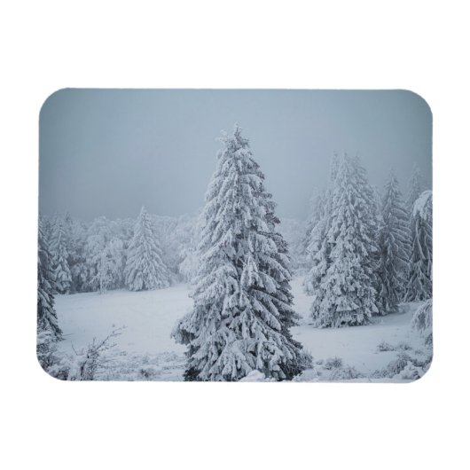 Eis und Schnee | Wald, Schweizer Alpen Magnet (Horizontal)