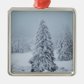 Eis und Schnee | Wald, Schweizer Alpen Ornament Aus Metall (Vorne)