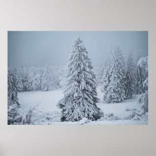 Eis und Schnee Wald, Schweizer Alpen Poster