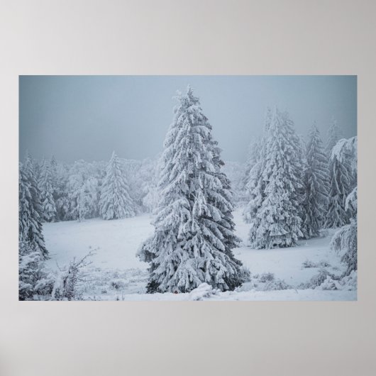 Eis und Schnee | Wald, Schweizer Alpen Poster (Vorne)