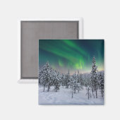Eis und Schnee | Winterlandschaft, Finnland Magnet (Vorderseite/Rückseite)