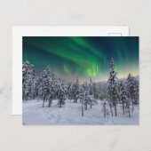 Eis und Schnee | Winterlandschaft, Finnland Postkarte (Vorne/Hinten)