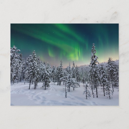 Eis und Schnee | Winterlandschaft, Finnland Postkarte (Vorderseite)