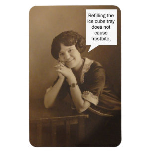 Eis-Würfel-Behälter-Erinnerung Magnet