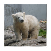 Eisbär 010 fliese (Vorderseite)