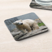 Eisbär 010 getränkeuntersetzer (Linke Seite)