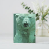 Eisbär-4069 Postkarte (Stehend Vorderseite)