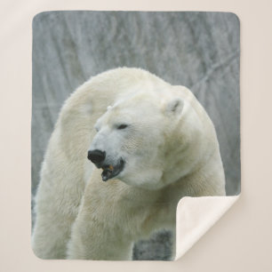 Eisbär 519-1 sherpadecke