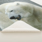 Eisbär 519-1 sherpadecke (3/4)
