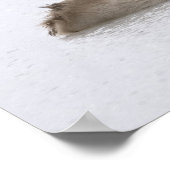 Eisbär auf einem Eissee Poster (Ecke)