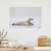 Eisbär auf einem Eissee Poster (Küche)