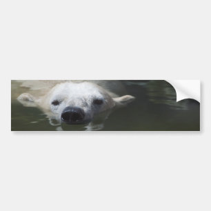 Eisbär Autoaufkleber