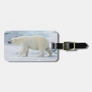 Eisbär beim Gehen, Norwegen Gepäckanhänger