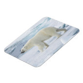 Eisbär beim Gehen, Norwegen Magnet (Linke Seite)