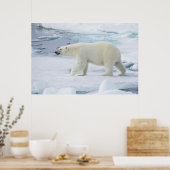 Eisbär beim Gehen, Norwegen Poster (Küche)