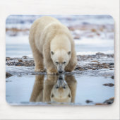 Eisbär betrachtet sein Spiegelbild Mousepad (Vorne)