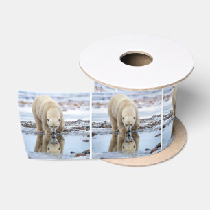 Eisbär betrachtet sein Spiegelbild Satinband