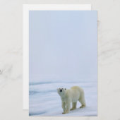 Eisbär-Briefpapier Briefpapier (Vorne/Hinten)